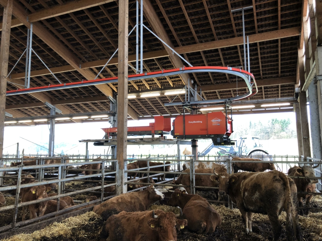 En TKS Easybedding i användning inuti en lada ovanför kor i inhängnad.