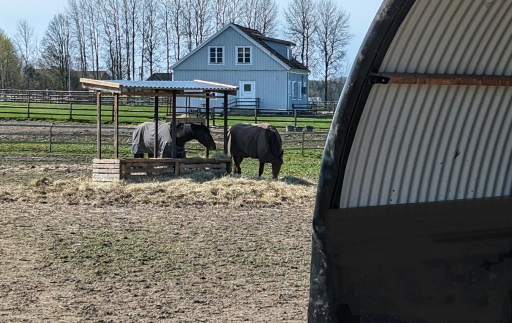 miljöbild på vindskydd och hästar