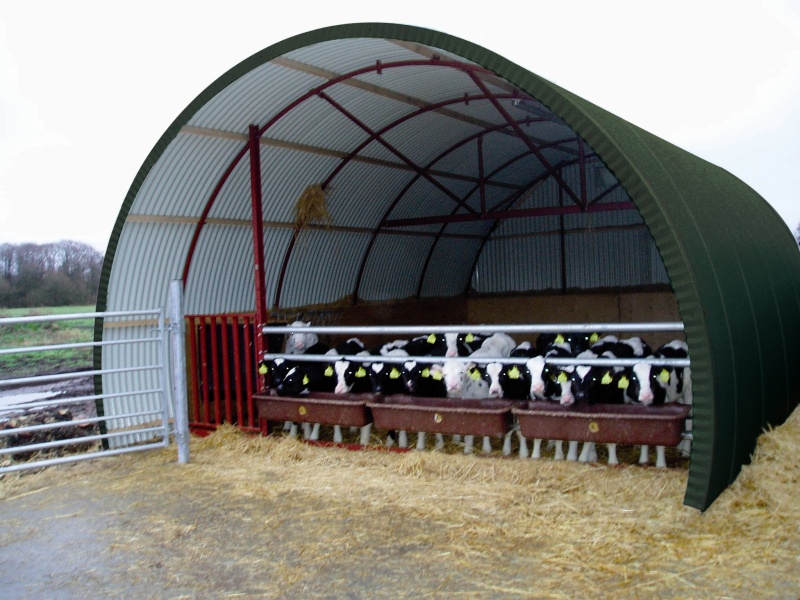 en rundbågehall med front står utomhus med kalvar i sig.