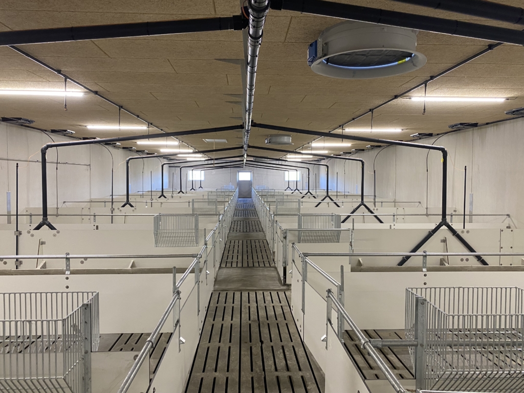 Belysning för häststall