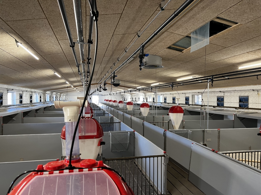 Belysning för mjölkstall och nötkreatur